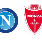 Napoli – Monza: statistiche post gara